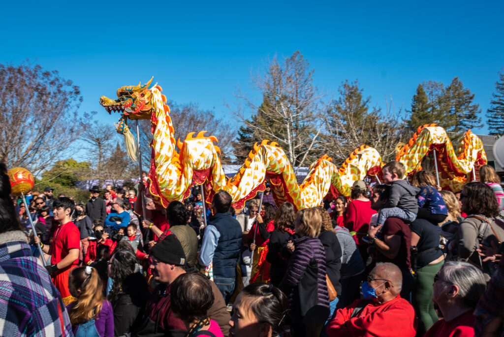 Lunar New Year Dragon