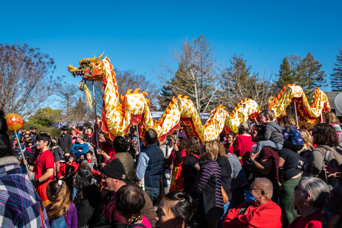 Lunar New Year Dragon