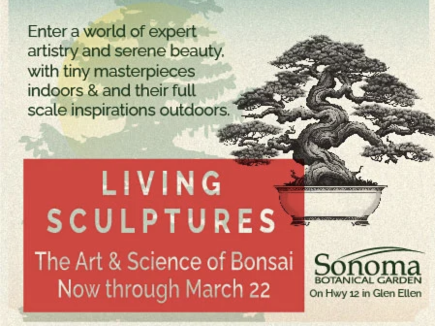 Bonsai Exhibition