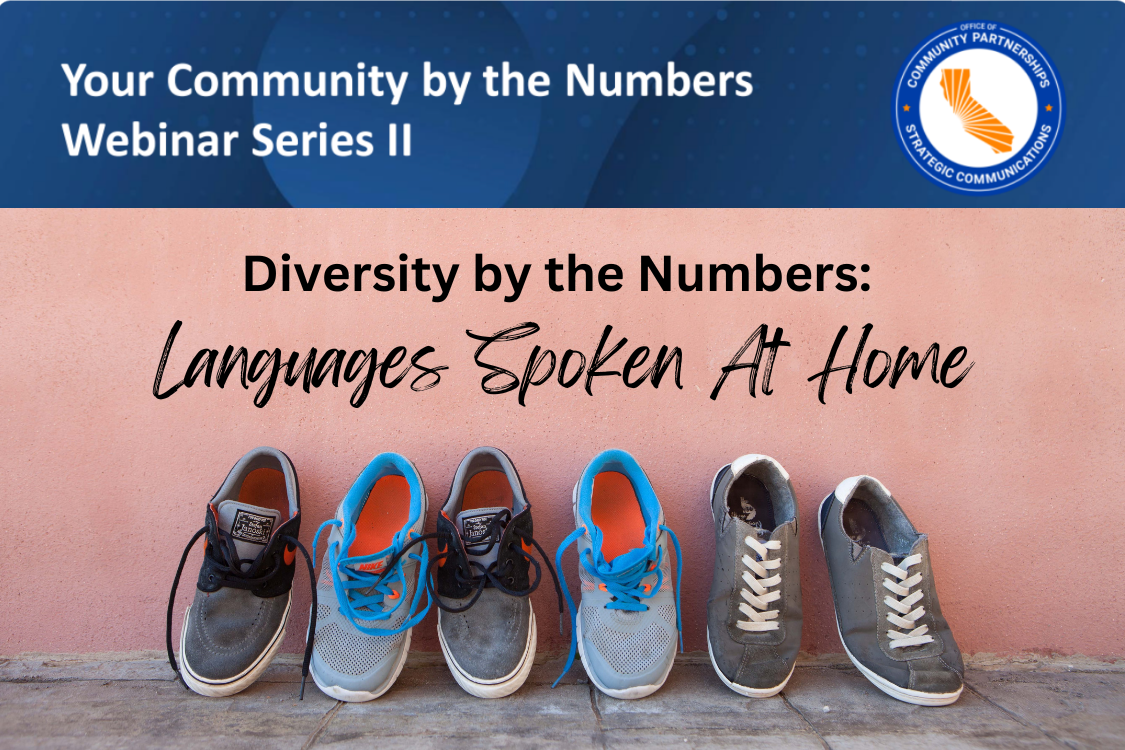 Census Webinar - home languages